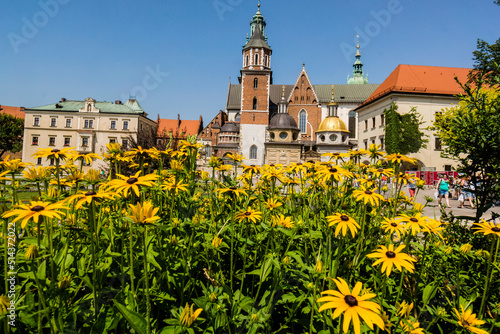 Catedral de Wawel, santuario nacional polaco, Cracovia,Polonia,  eastern europe photo