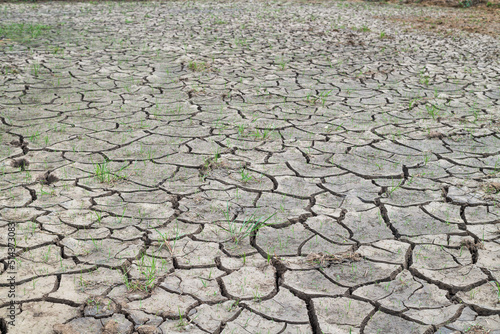 Close up of soil drought cracked background