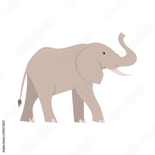 cartoon flat elephant illustration isolated on white