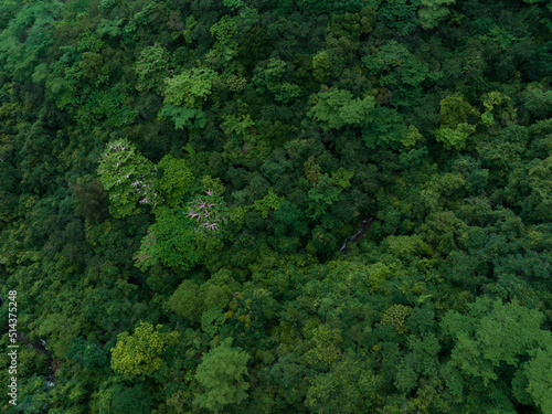 Canvas Print Aerial view of beautiful tropical forest mountain landscape