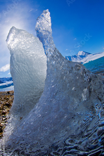 Glacier Ice, Drift floating Ice,14 of July Glacier, Krossfjord, Arctic, Spitsbergen, Svalbard, Norway, Europe photo