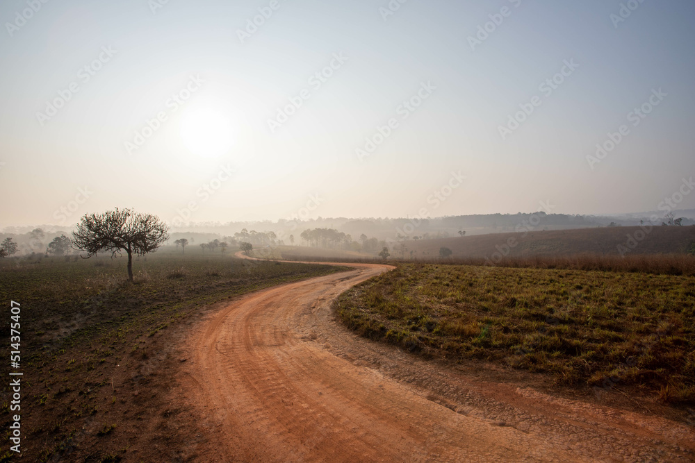 Fototapeta premium road in the morning