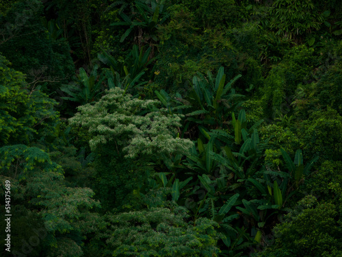 Aerial view of beautiful tropical forest mountain landscape