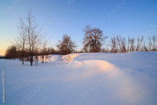 Beautiful winter landscape. Snow-covered river valley in the Arctic. View of the snow, trees and bushes. Cold frosty weather. Nature of Chukotka and Siberia. Far North of Russia.