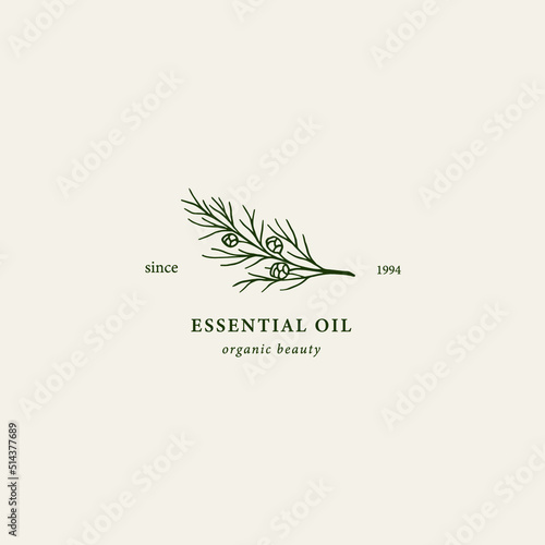 Hand drawn cypress branch logo