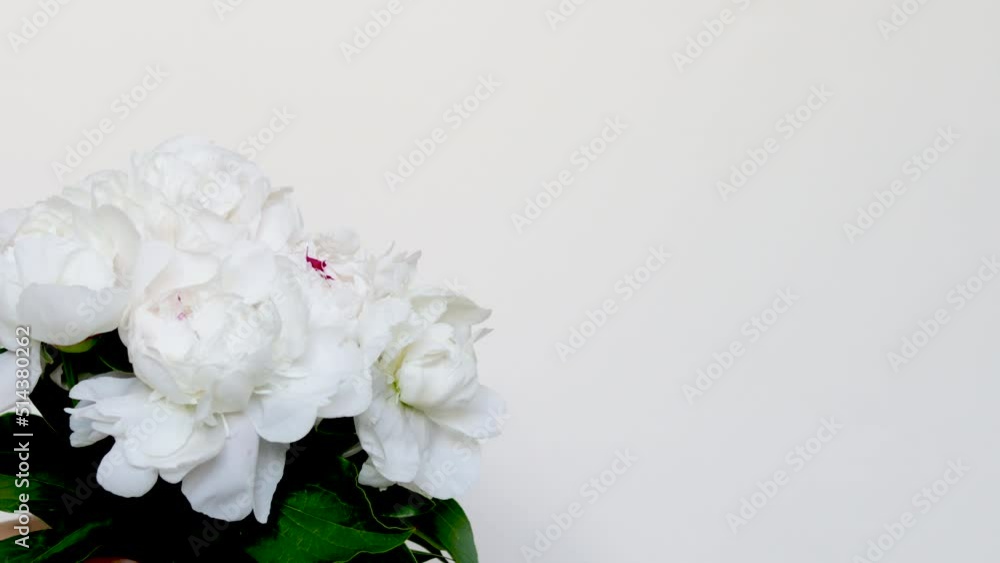 white peonies in woman hand isolated on beige background.beautiful white flowers bouquet.girl smells the peonies.march 8th,international women day,mother day white peonies in woman hand isolated on beige background.beautiful white flowers bouquet.girl smells the peonies.march 8th,international women day,mother day
