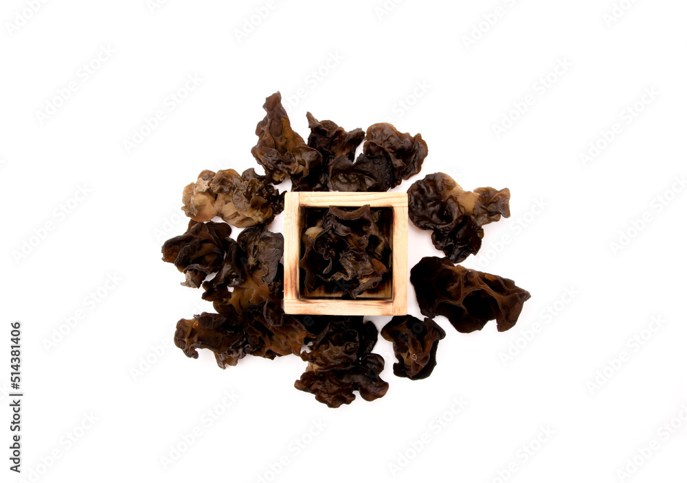 Obraz premium black mushroom