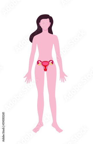 Woman with drawn reproductive system on white background. Anatomy concept