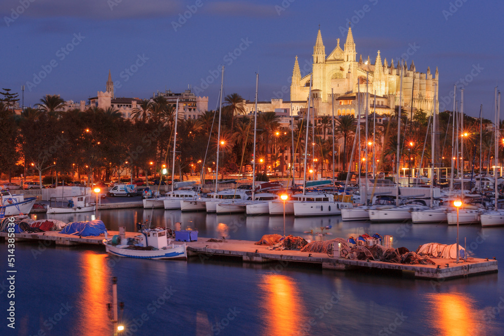 Catedral de Mallorca desde el muelle de la Riba , siglo  XIII, Monumento Histórico-artístico, Palma, mallorca, islas baleares, españa, europa