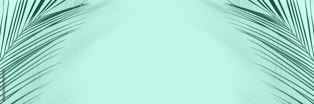 Tropical palm leaves on mint background with space for text Tropical palm leaves on mint background with space for text