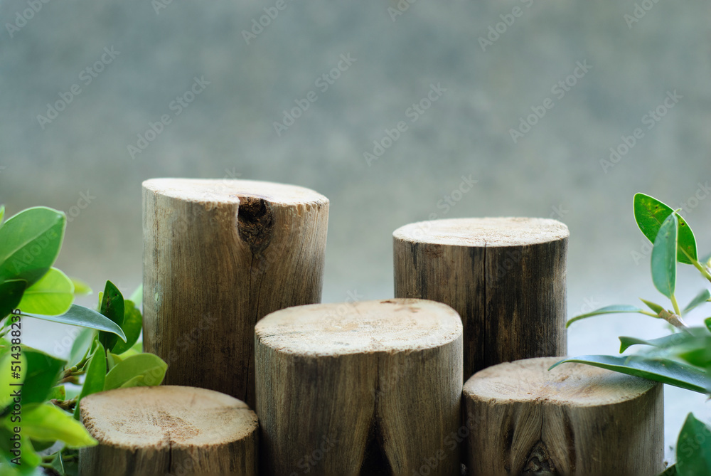 Natural product display stand, real wood product display stand, with copy space for displaying product design on blurry carpet floor, website ad banner, natural looking, Natural product display stand, real wood product display stand, with copy space for displaying product design on blurry carpet floor, website ad banner, natural looking,