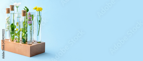 Test tubes with flowers on ...