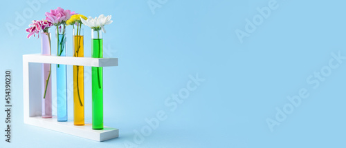 Test tubes with flowers on ...