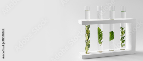 Test tubes with plants on light background with space for text