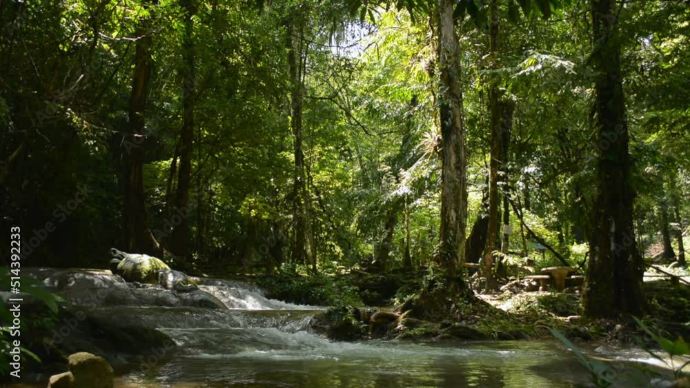 Scenery of water stream flowing over the rocks under the shade of the trees in tropical rainforest. Sunlight illuminating to the jungle. Sunny day with creek in the forest. Thailand. Scenery of water stream flowing over the rocks under the shade of the trees in tropical rainforest. Sunlight illuminating to the jungle. Sunny day with creek in the forest. Thailand.