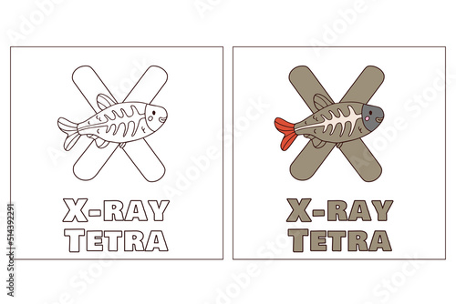 A for x-ray tetra Hand Drawn Coloring Page
