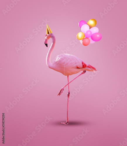 Pink flamingo in birthday cap with party helium balloons