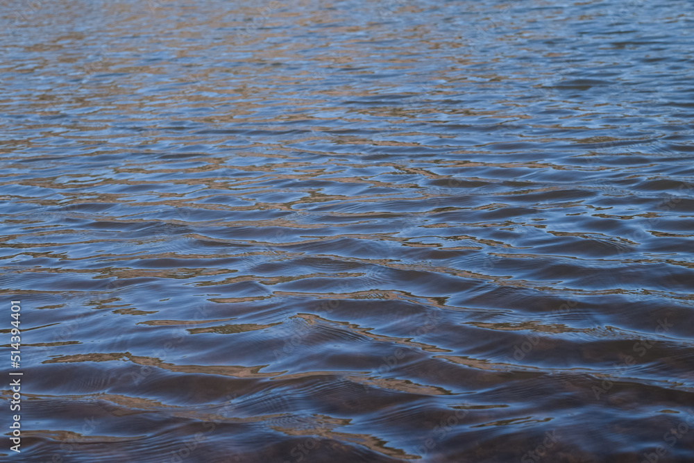 Ondas del agua en un lago Ondas del agua en un lago