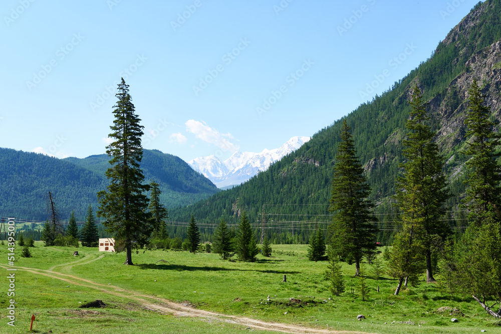 Construction of a wooden house in the mountains. Picturesque place. Green meadow with trees on the background of snow-capped mountain peaks.