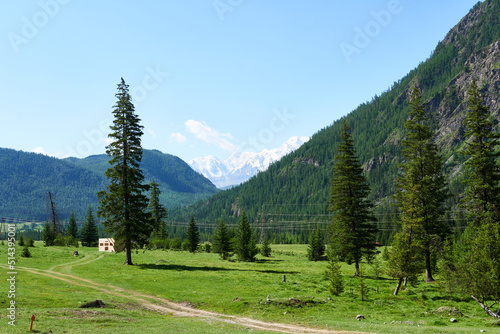Construction of a wooden house in the mountains. Picturesque place. Green meadow with trees on the background of snow-capped mountain peaks.