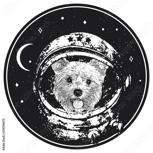 Yorkshire Terrier astrodog portrait. Cute space dog. Vector illustration photo