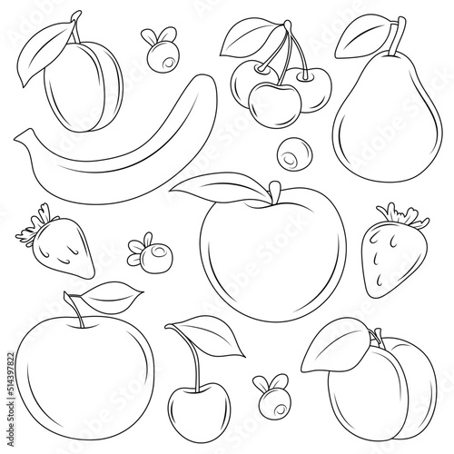 Fototapeta Naklejka Na Ścianę i Meble -  Set vector illustrations fruits line graphic doodle on a white background. Various fruits and berries.