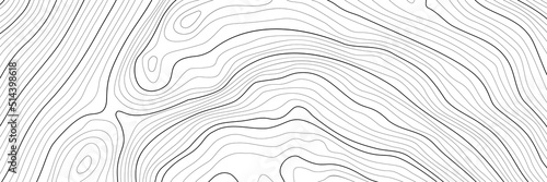 The stylized height of the topographic map contour in lines and contours. The concept of a conditional geography scheme and the terrain path. Wide Size. Vector illustration.