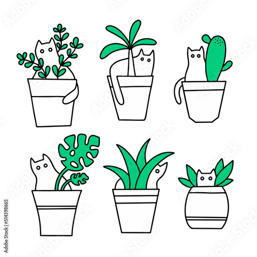 Set of doodle cats sitting in the pots with home flowers.