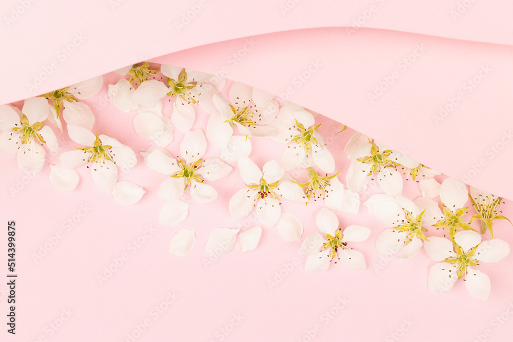 Summer romantic floral pink background with white apple tree flowers, blank geometric curved stripes for text mockup on pastel pink color for advertising, branding identity, greeting card, copy space. Summer romantic floral pink background with white apple tree flowers, blank geometric curved stripes for text mockup on pastel pink color for advertising, branding identity, greeting card, copy space.