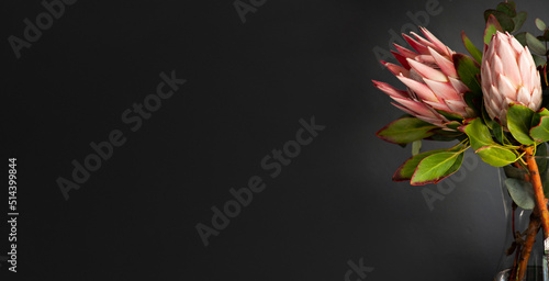 Obraz na plátně Pink protea flowers in a vase with a large grey background