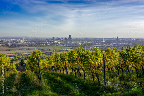 Skyline Of The City Vienna In Austria With Green Hills And Vineyards