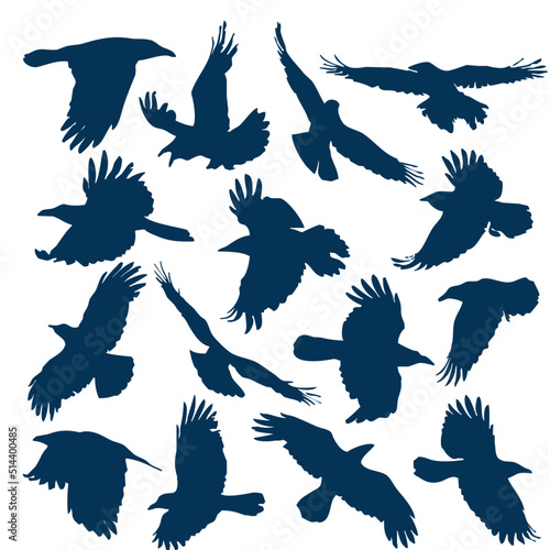 A set of silhouettes of flying crows (15 pieces)