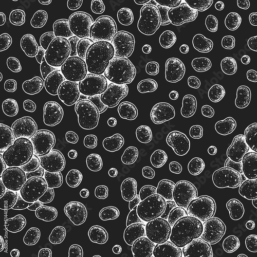 Raw potato seamless pattern. Hand drawn vector illustration. Food background, engraved style. Linear graphic.