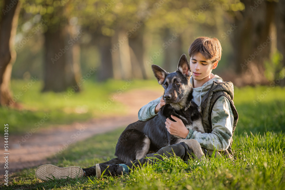 a boy with a dog walk in the park on a sunny spring evening, sit on the grass. Friendship of man and animal, healthy lifestyle. a boy with a dog walk in the park on a sunny spring evening, sit on the grass. Friendship of man and animal, healthy lifestyle.