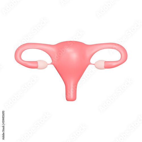 Uterus 3d icon. Female genital organ. Isolated object on a transparent background