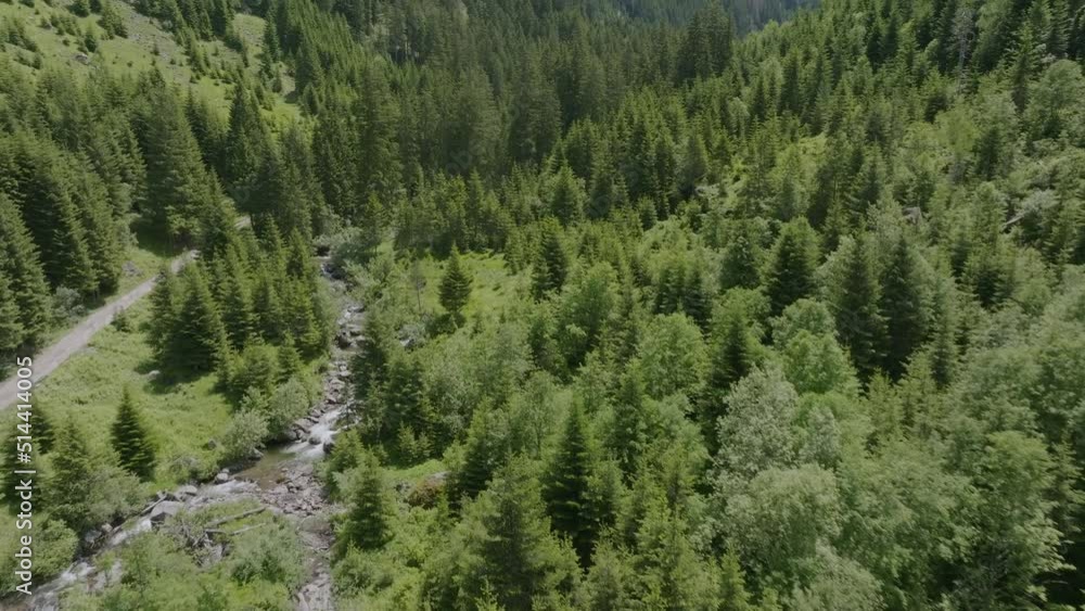 Aerial flyover forest landscape,mountains and flowing river between conifer trees Aerial flyover forest landscape,mountains and flowing river between conifer trees