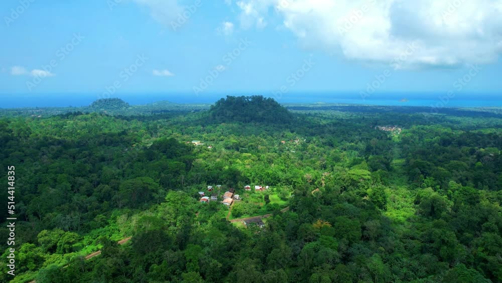 Aerial magnificent view of the forest at Sao tome,Africa Aerial magnificent view of the forest at Sao tome,Africa