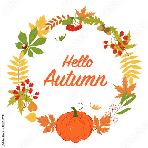 Autumn postcard with pumpkin. Background with pumpkin, twigs and leaves. Vector flat illustration with pumpkin and leaves.
