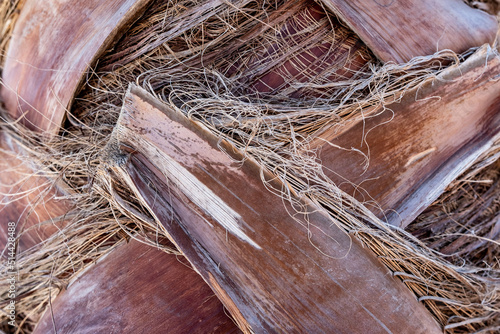 Wallpaper Mural Wall and floor made of wood material, background image. Torontodigital.ca