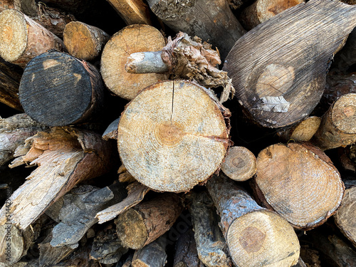 Wallpaper Mural Wall and floor made of wood material, background image. Torontodigital.ca