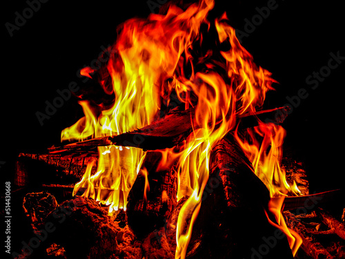 Wallpaper Mural Flames emerging from the blazing woods. Torontodigital.ca