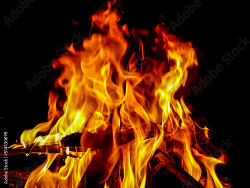 Wallpaper Mural Flames emerging from the blazing woods. Torontodigital.ca