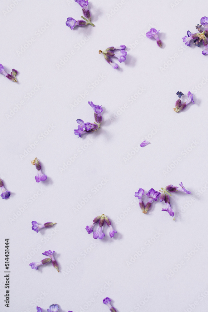 Pattern made of blooming lavender flower head on pastel purple background. Minimal monochromatic floral concept. Bright natural summer idea. Pattern made of blooming lavender flower head on pastel purple background. Minimal monochromatic floral concept. Bright natural summer idea.
