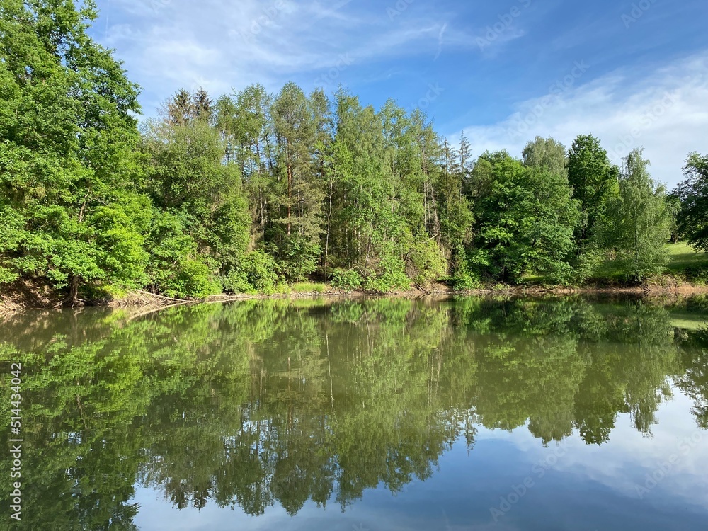Lake with reflections in the water surrounded by trees - See mit Wasserreflektionen, umgeben von Bäumen