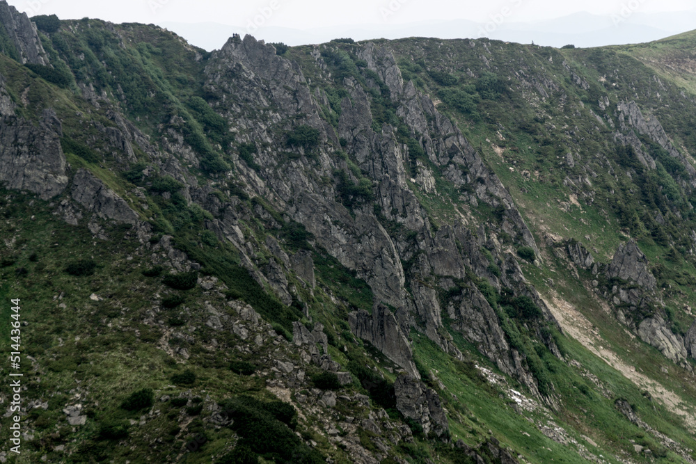 Fototapeta premium Chornohora Ridge in the mist