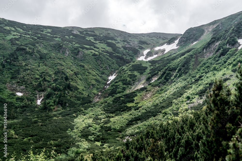 Fototapeta premium Chornohora Ridge in the mist