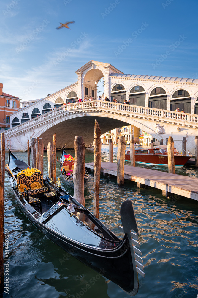 Rialto Bridge and gondolas, Venice, Italy