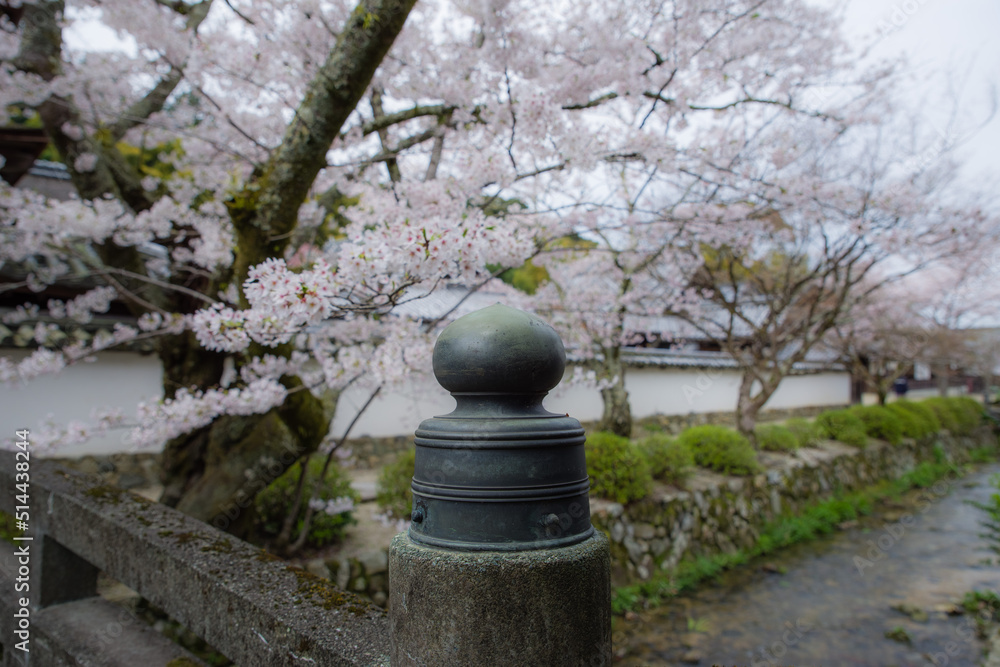 天野山金剛寺（大阪府河内長野市）にて