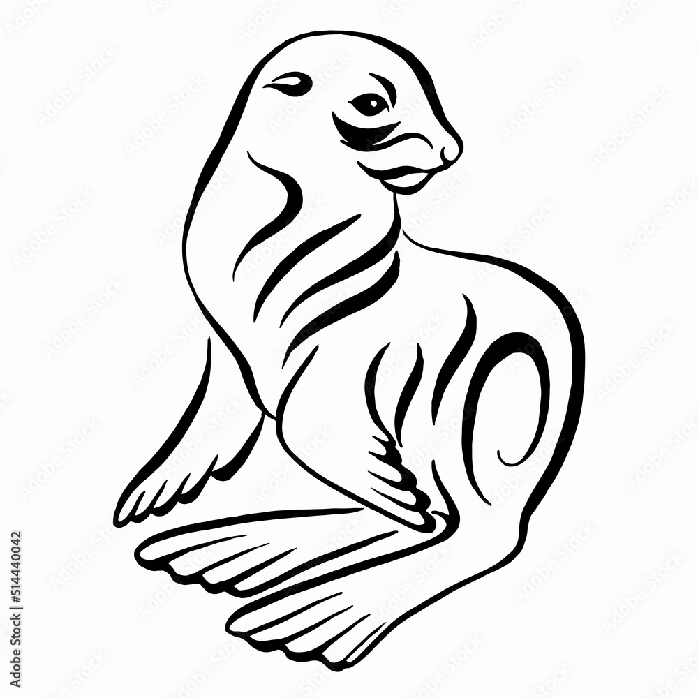 Seal animal. Fur seal vector illustration in calligraphic style. Linear drawing. Seal animal. Fur seal vector illustration in calligraphic style. Linear drawing.