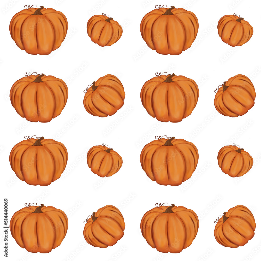 Seamless pattern Harvest pumpkin. Isolated on white background